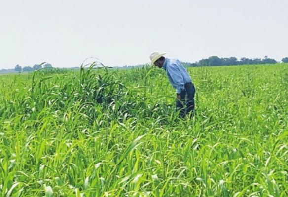 Join the Oklahoma Conservation Commission soil health team in moving forward with regenerative agriculture