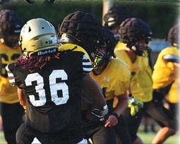 THE HUGO BUFFALOES