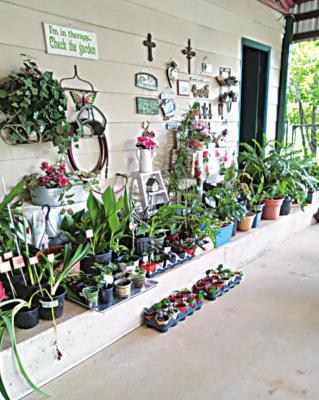 Iris Garden Club holds annual picnic, auction