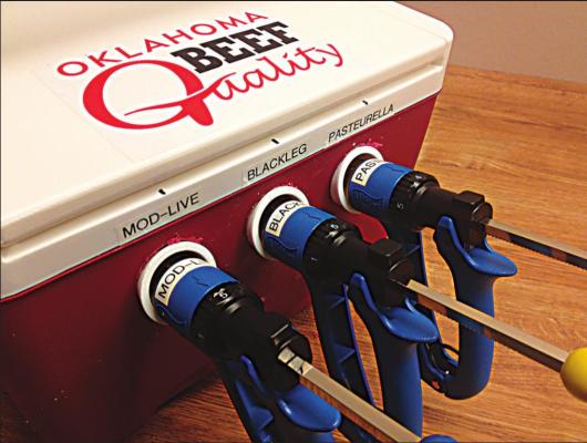 Chute-side vaccine cooler a