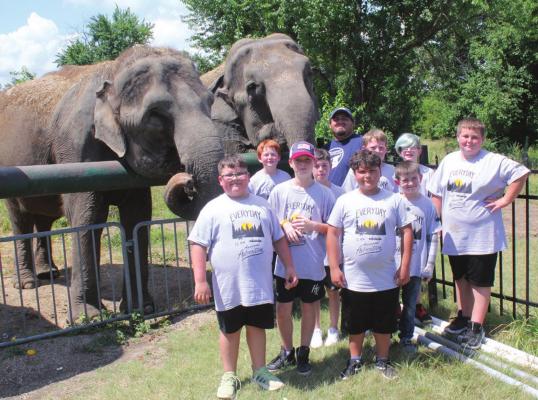 Elephant lifestyle...