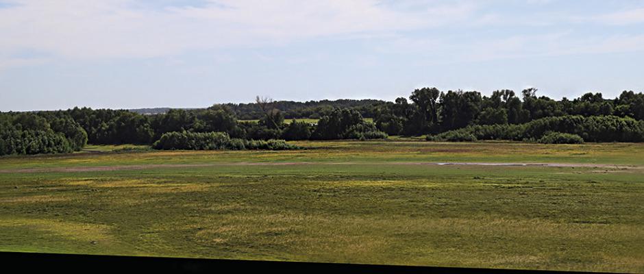 Hugo Lake nears record low
