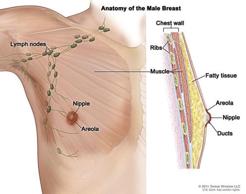 Men can get breast cancer, too