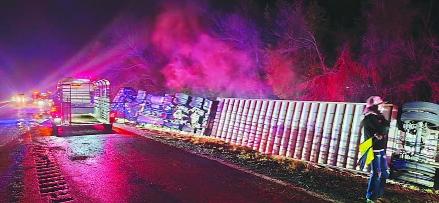Highway shut down for hours for cattle recovery after wreck