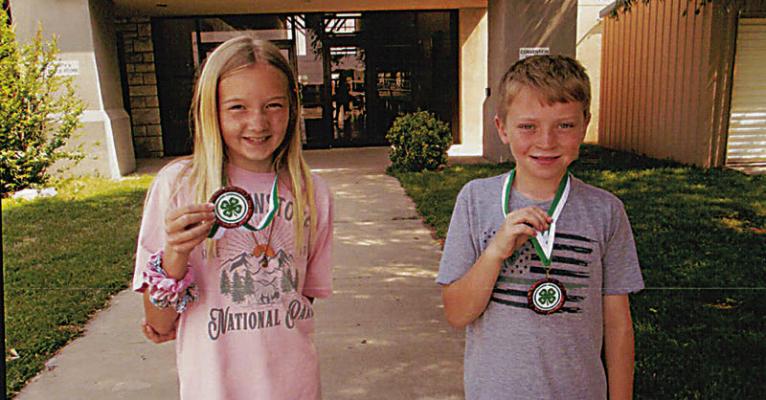 State 4-H Speech