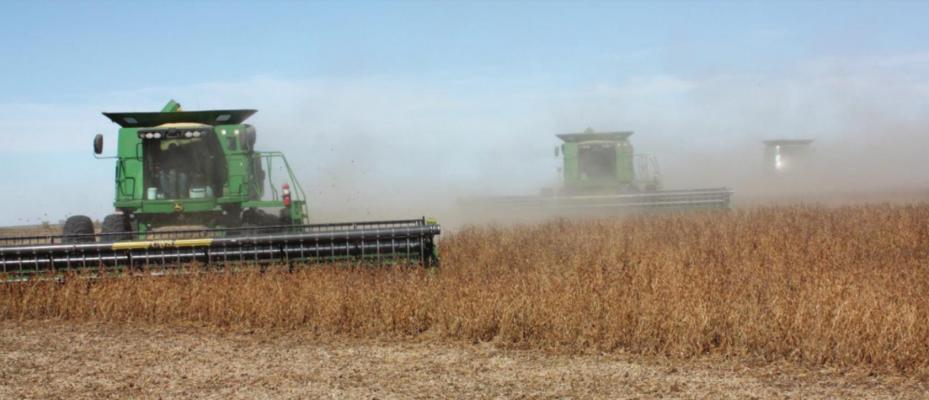 U.S. soybeans are exported all over the world and provide numerous food and fuel products.