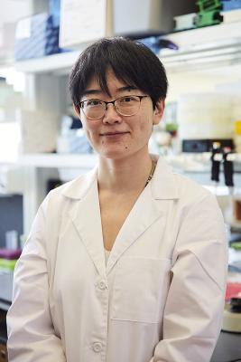 OMRF receives $2.1 million to study immune system
