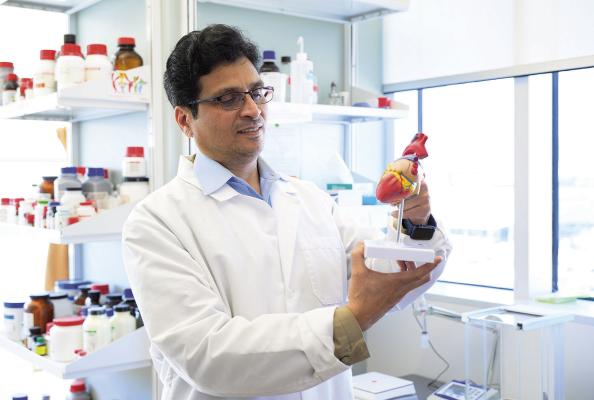 Two common drugs may protect the heart in HIV according to OMRF