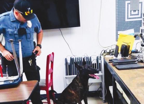 Sawyer PD looking to add K9 officer