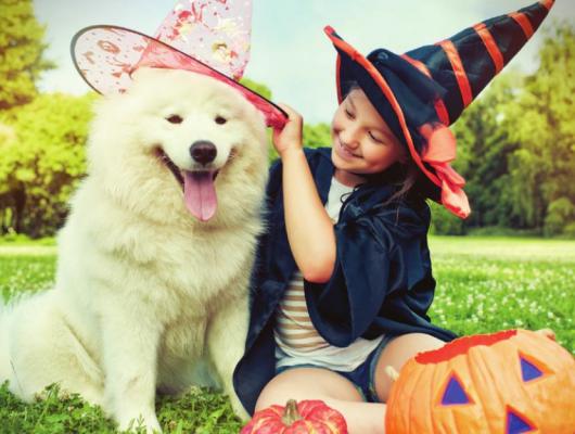 Five tips to safely celebrate halloween with your pet