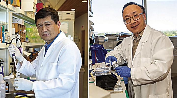 OMRF scientists find potential life-saving use for aspirin