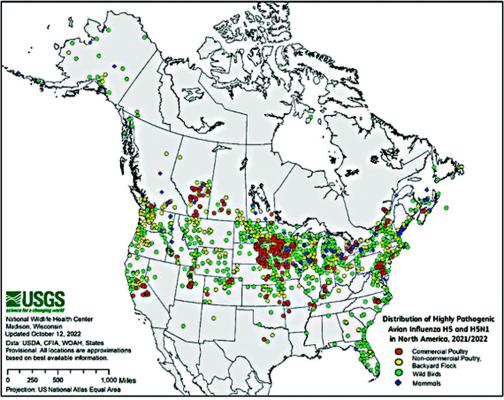 Hunters can slow Avian Flu, help protect food supply