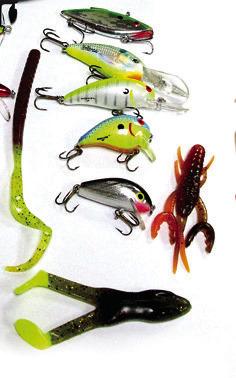 Let’s Go Fishing!