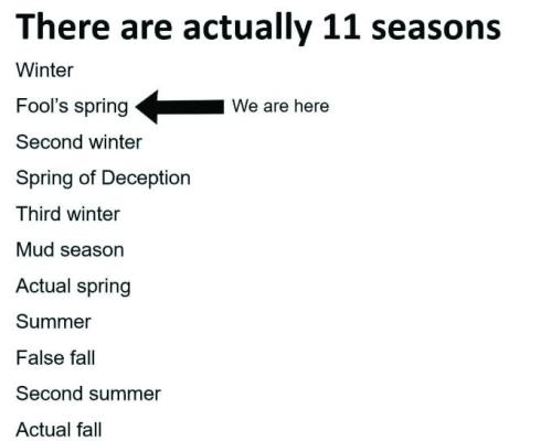 There are actually 11 seasons