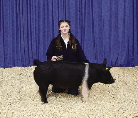 Jaleigh Loper Bronze Medallion Breeding Gilt