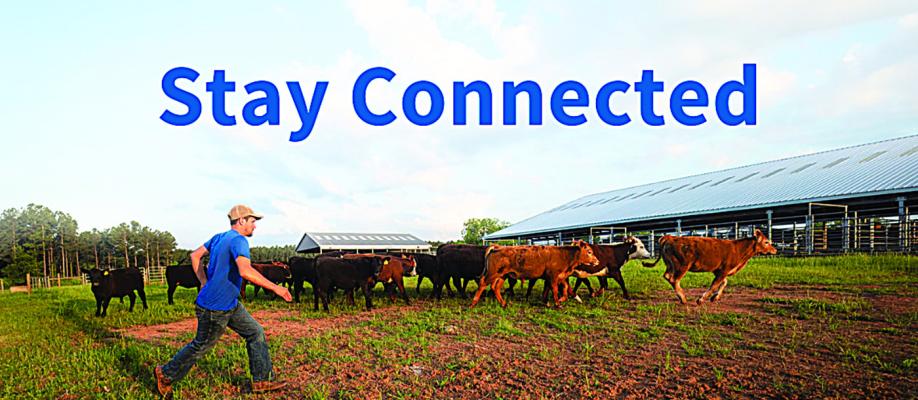 USDA launches new online civil rights tool for USDA customers