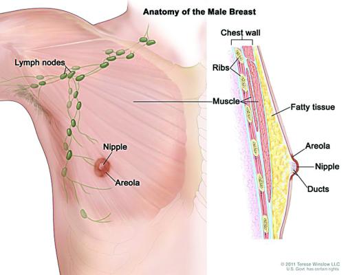 Men can get breast cancer, too