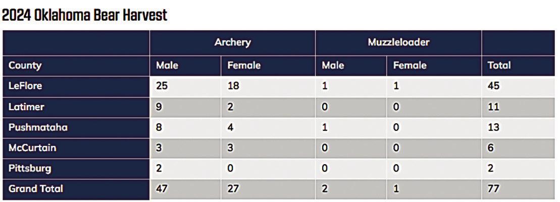 Hunters take 77 black bears during 2024 seasons