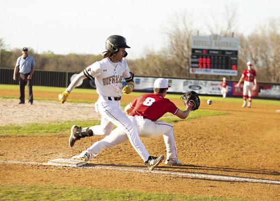 Kingston notches two wins against Buffs Monday