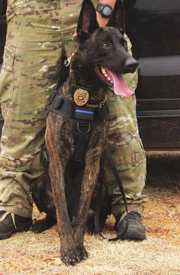 ‘Take a bite out of crime...’ Town of Sawyer gets new four legged officer
