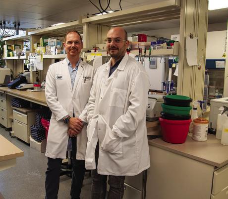 Grant will fund OMRF research on artificial joint infections