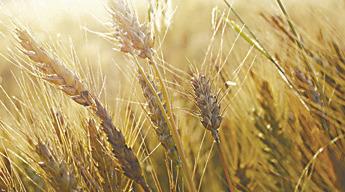 NRCS in Oklahoma announces new funding opportunities for conservation activities