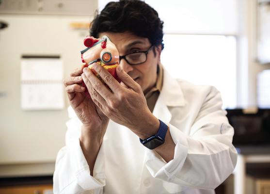 OMRF scientist finds links among three age-related diseases