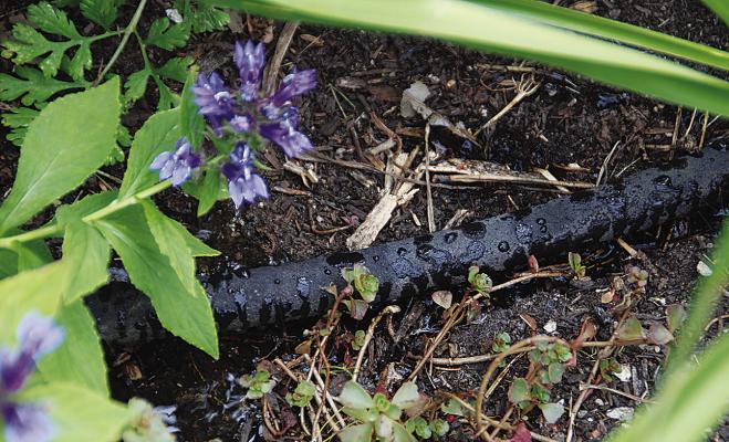 Soaker hoses and drip irrigation save water by applying it directly to the soil where it is needed.