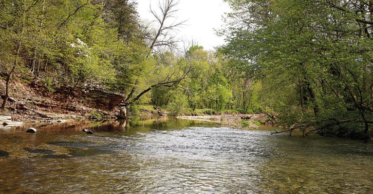 A view of Spring Creek in Delaware County, Okla. Photo Courtesy / Kelly J. Bostian, KJBOutdoors