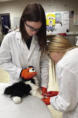 Applications open for FFA STEM after-school grants from PSO