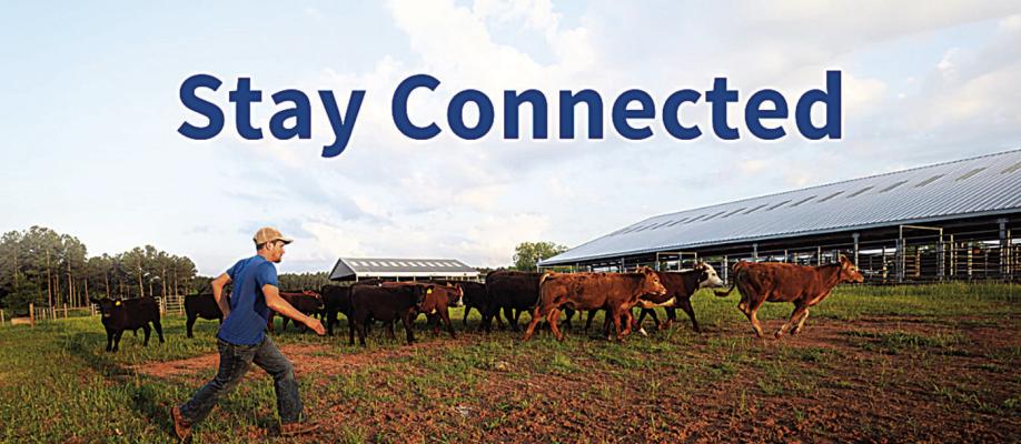 USDA accepting applications for USDA E. Kika De La Garza Fellowship program