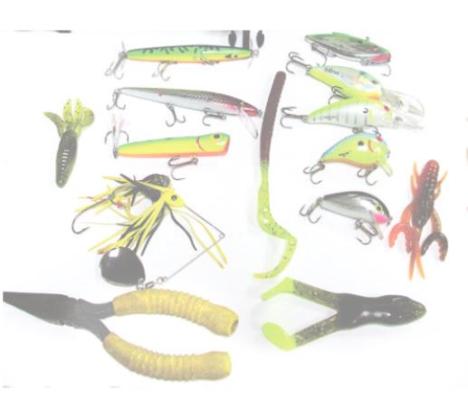 SOUTHEAST  Broken Bow: Elevation is 1 ft. below normal, water temperature 88°F and clear. (USACE Lake Level). Largemouth, smallmouth and spotted bass fair on Alabama rigs, crankbaits, flukes and plastic baits around brush structure, creek channels, points and stan