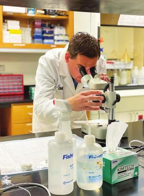 OMRF scientists pinpoint brain cells linked to drug abuse relapse