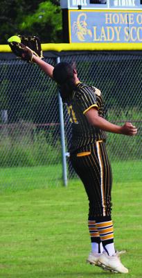Boswell’s Savonna Brown