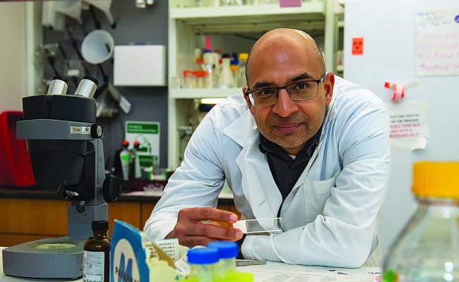 OMRF to study inflammatory bowel disease after receiving $2.7 million for research