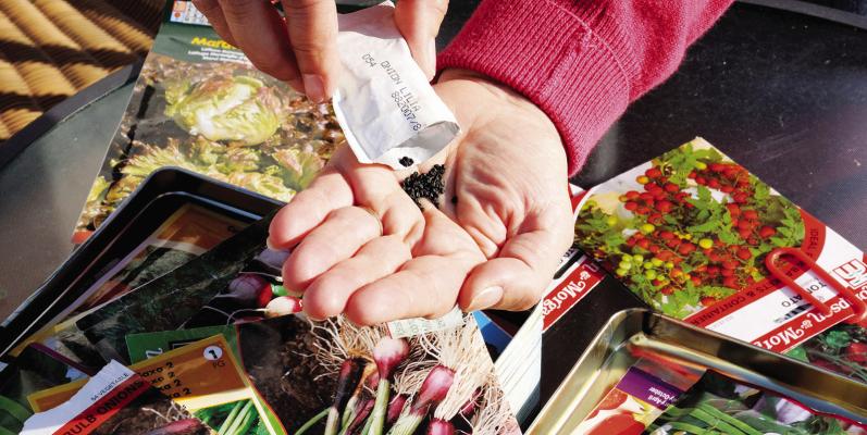 Gardeners shouldn’t let themselves be fooled by photos of plants they find online. Check with reputable seed companies to verify the plant is legitimate. Photo by Shutterstock