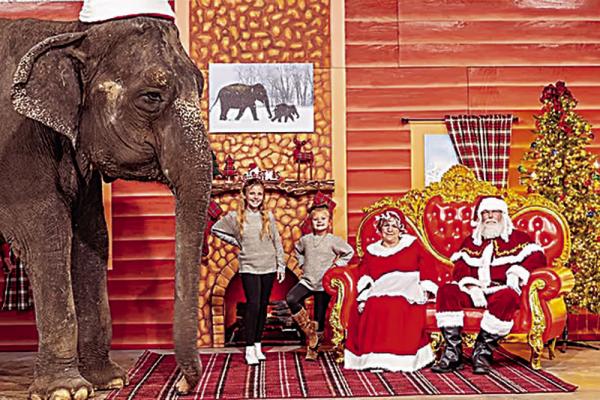 ‘Holiday in the Ark’ returns to Hugo