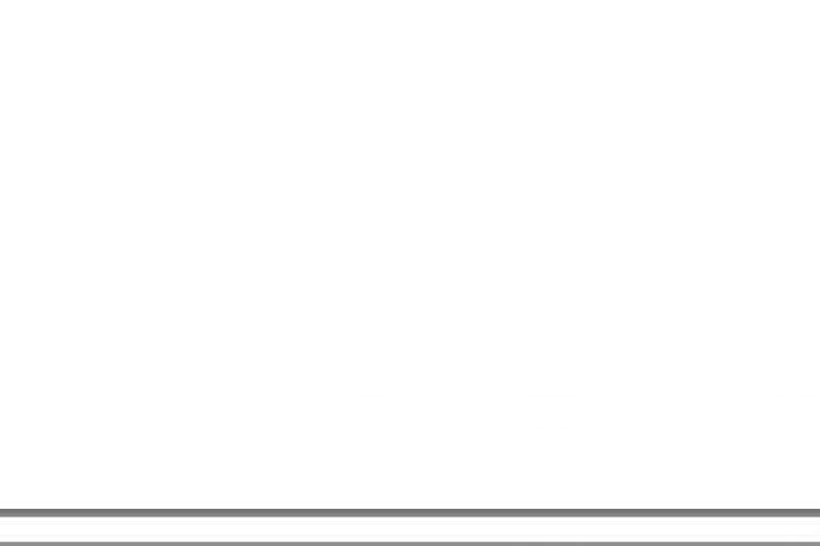 Alt Text for Image