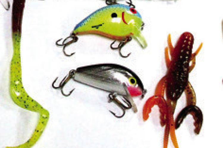 Let’s Go Fishing!