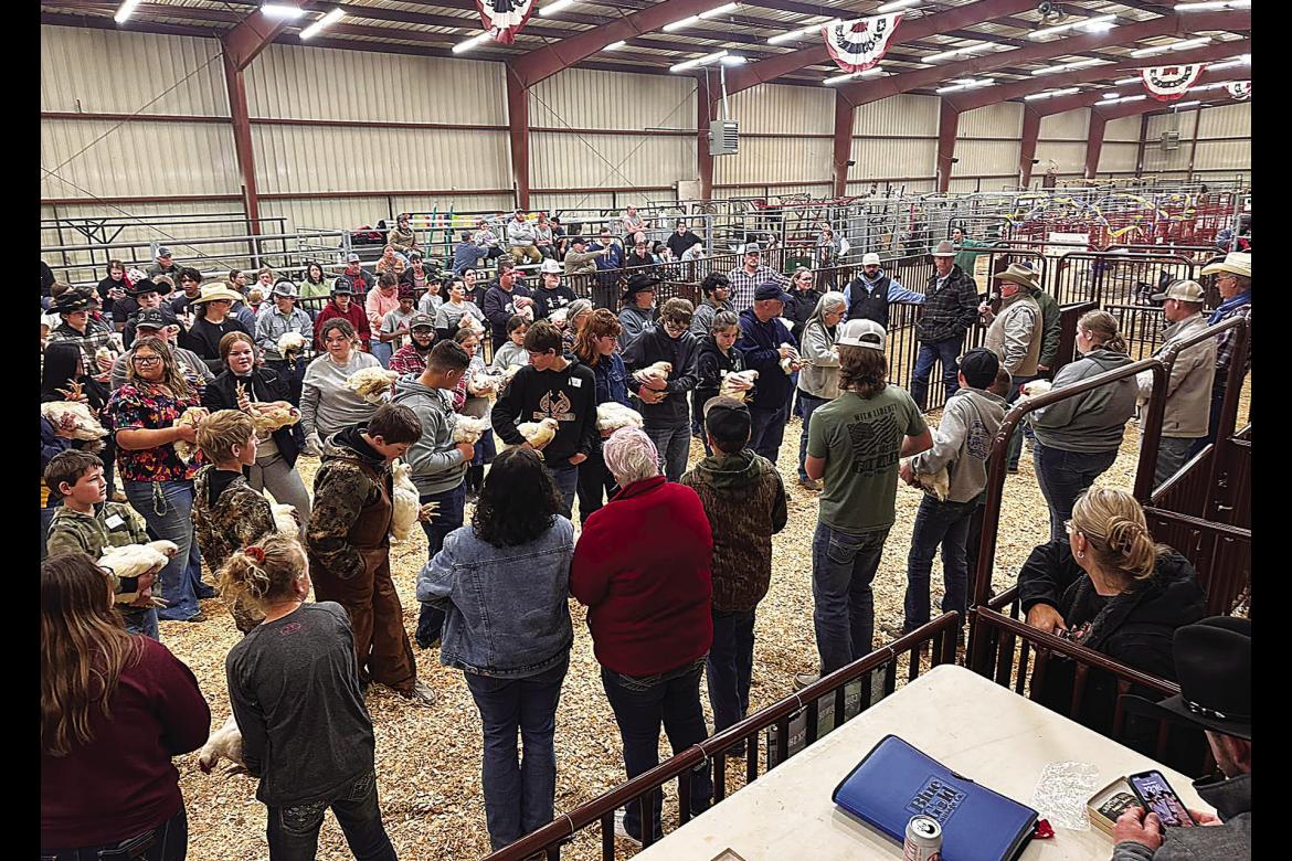 The Choctaw County Junior Livestock Show was held last week at the Hugo Ag barn, with dozens upon dozens of local students participating in show events such as beef, lamb, hog, goat, broiler, Ag mechanics, etc. Look for future editions of the Hugo News for results from the annual show.